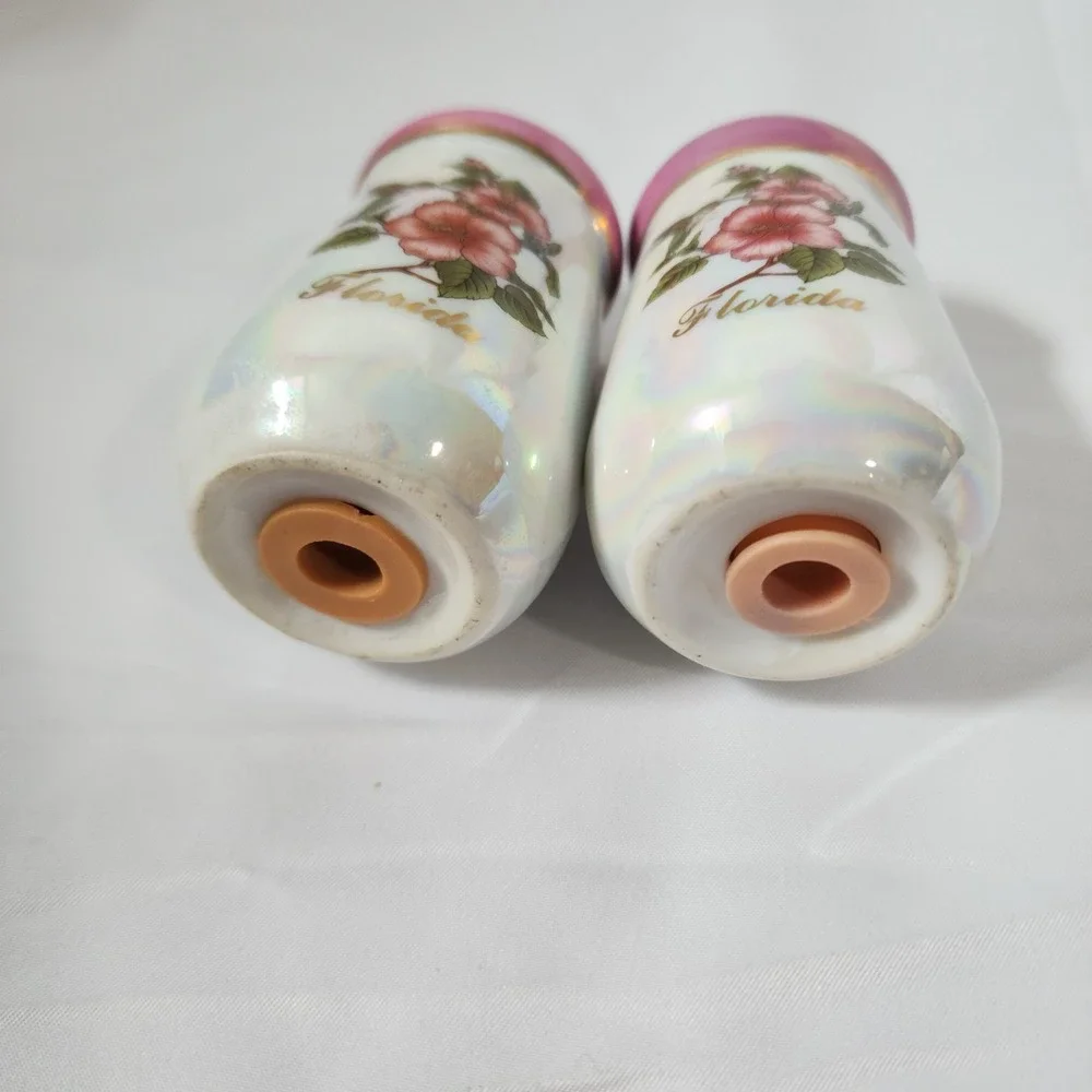 Iridescent‎ Florida Souvenirs Salt and Pepper Shakers